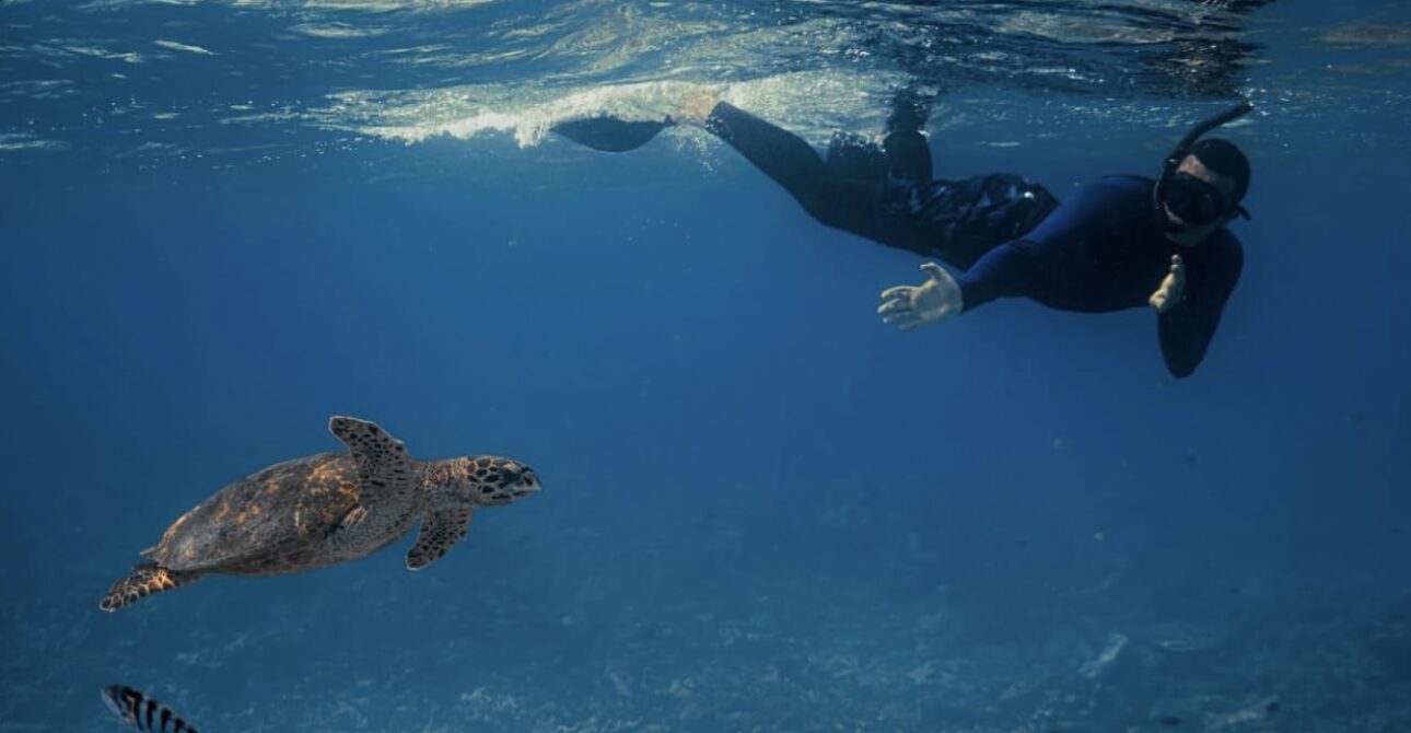 Fulidhoo Island: 4 Days / 3 Nights Itinerary